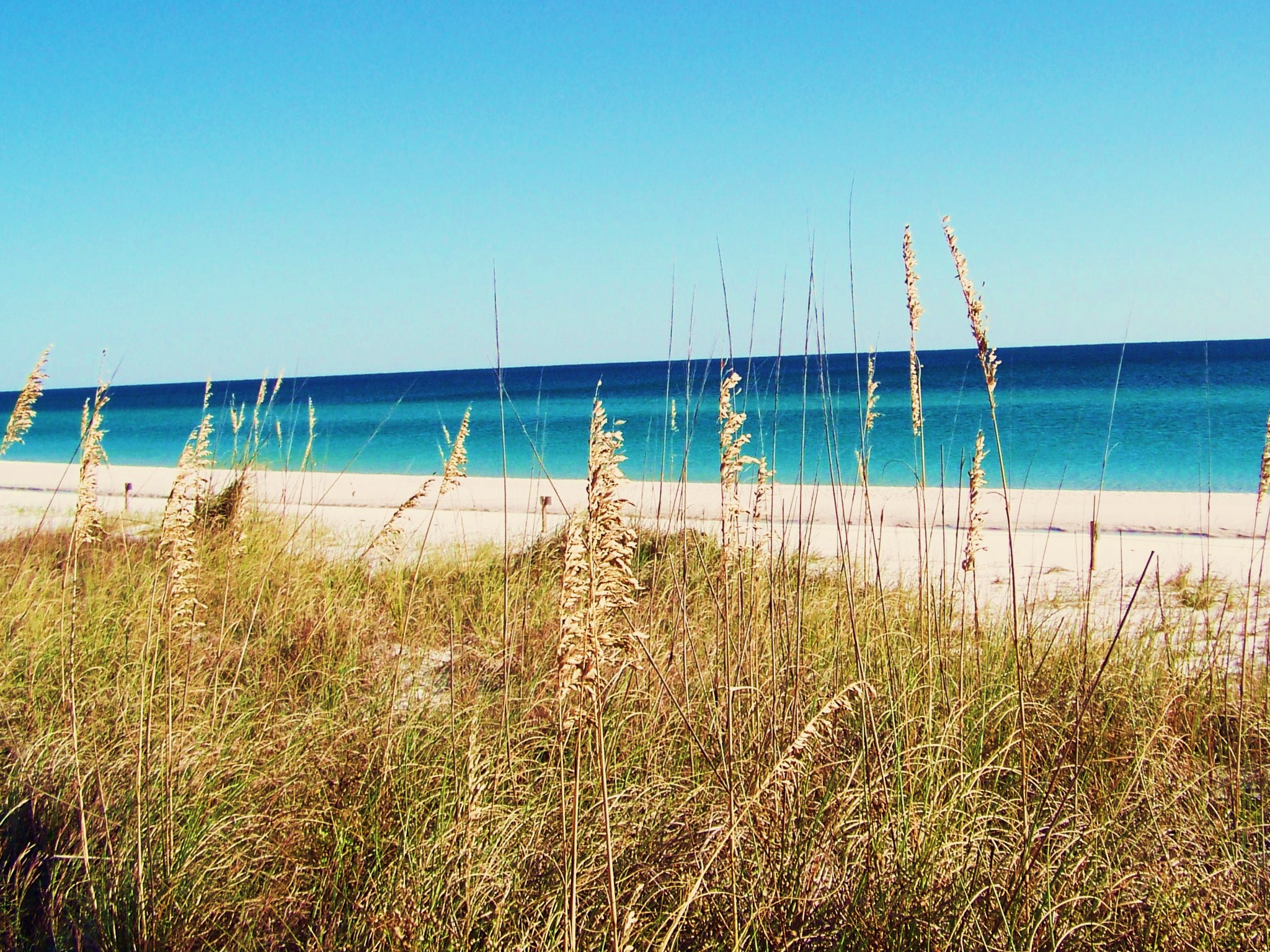 Henderson Beach State Park